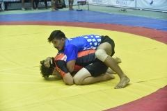GMS_0491(1)