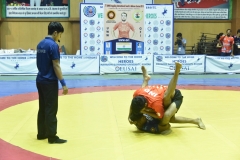 GMS_9940(2)