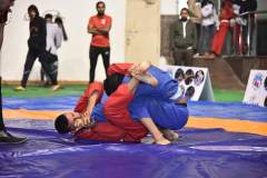 FB_IMG_1669750145611
